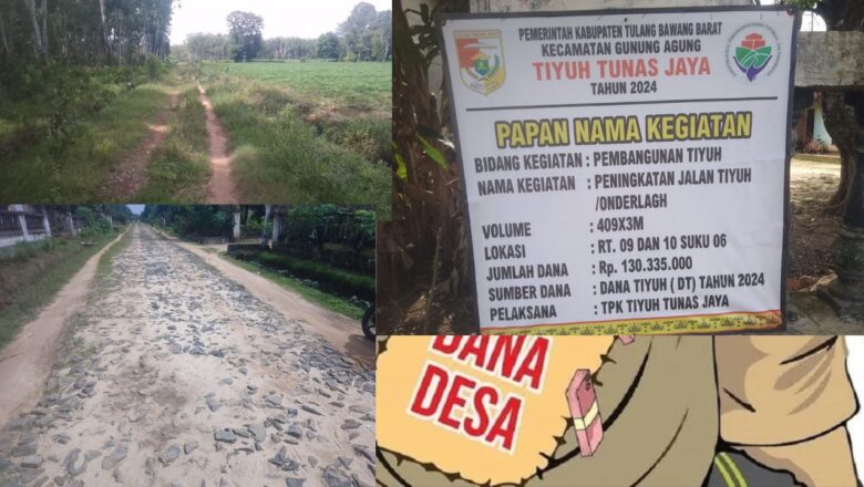 Ada Dugaan Mark-Up atas Realisasi dana Desa Tiyuh Tunas Jaya, ini analisanya