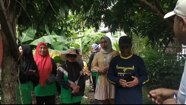 Kelompok Wanita Tani (KWT): Pemberdayaan Perempuan dalam Ketahanan Pangan