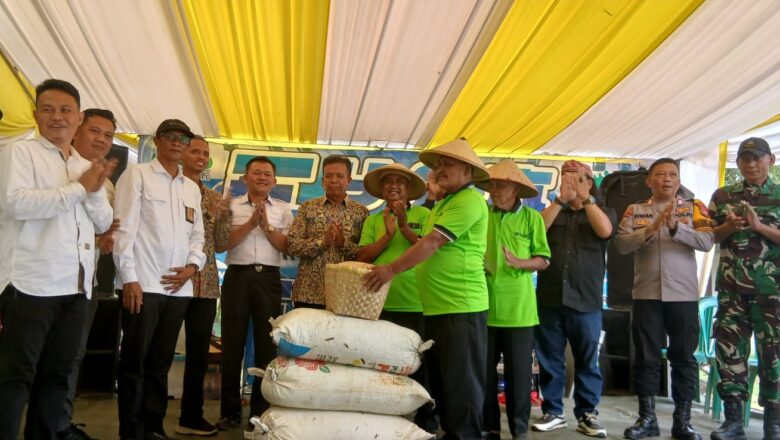 BBWS Mesuji Sekampung Gelar Panen Raya Way Rarem Dukung Ketahanan Pangan