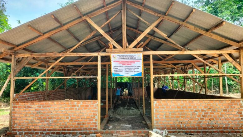BUMTi Panca Marga Kembangkan Peternakan Bebek, Wujudkan Kemandirian Ekonomi Tiyuh