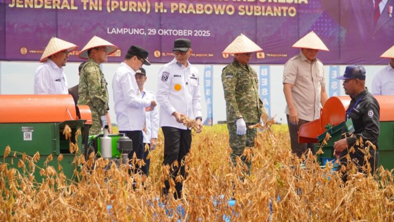 Panen Kedelai di Lampung Utara Jadi Simbol Kolaborasi Pemerintah dan TNI Wujudkan Kedaulatan Pangan Nasional