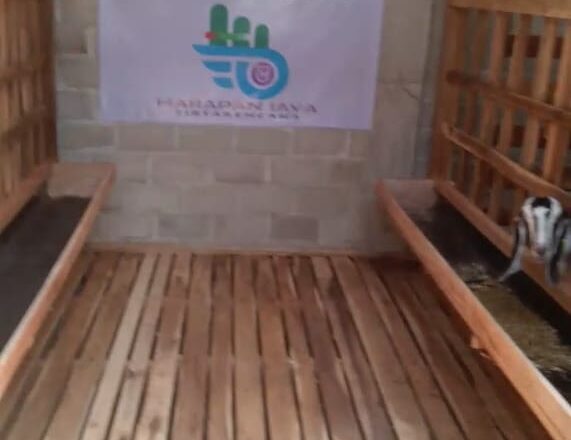 Diduga Ada Persekongkolan Jahat Pengurus BUMTI dan Kepalo Tiyuh Tirta Kencana