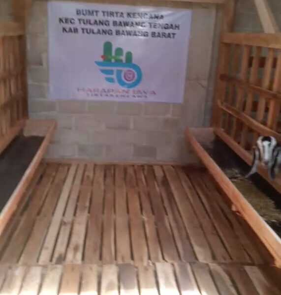 Diduga Ada Persekongkolan Jahat Pengurus BUMTI dan Kepalo Tiyuh Tirta Kencana