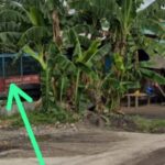 Benarkah BBM dari SPBU Way Lunik Mengalir ke Gudang Berinisial AT?